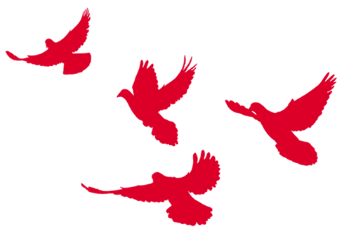 5491548914392590.png 3.png